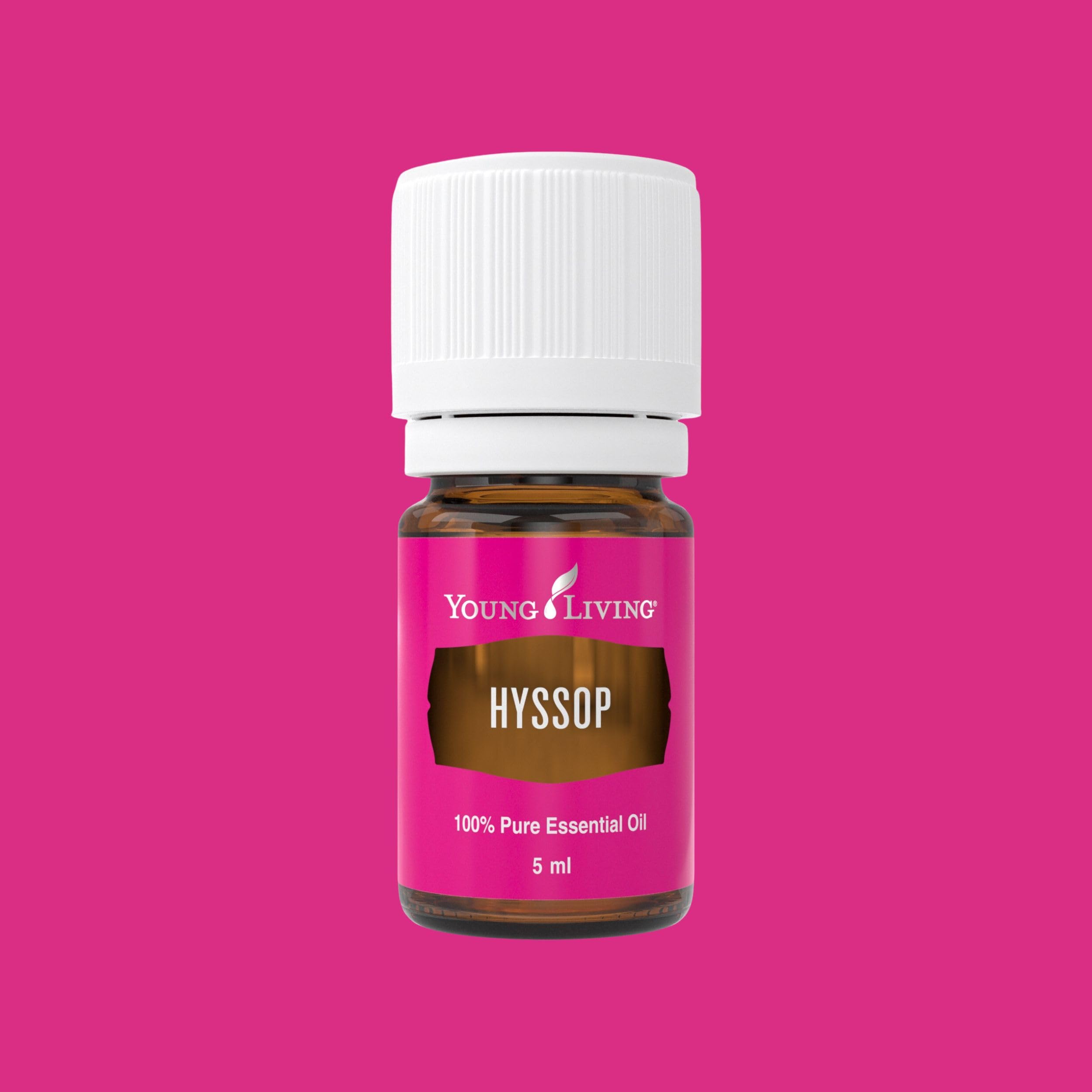 Amazon.com: Young Living Hyssop Essential Oil - 5ml - Aromatherapy